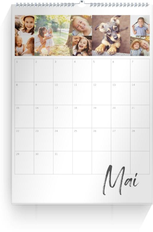 Product preview