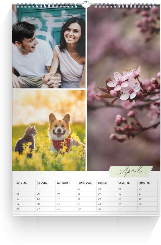 Product preview