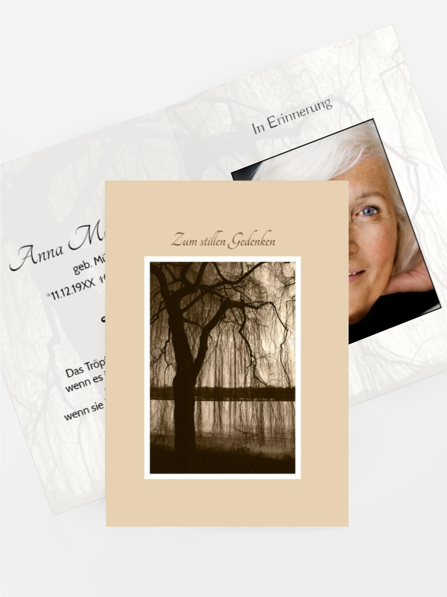 Sterbebildkarte Baum am See 2