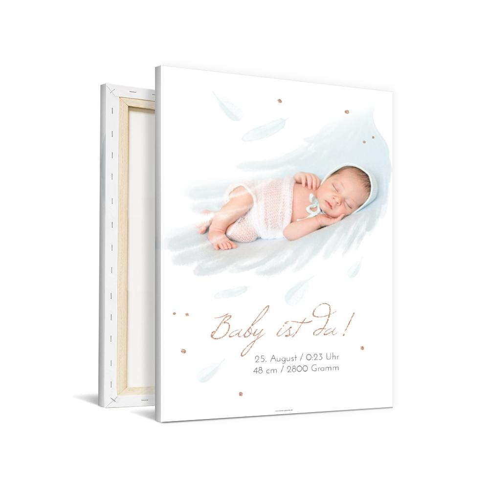 Wandbilder Baby Federhauch