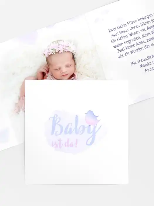 Kleiner Vogel Kleiner Vogel