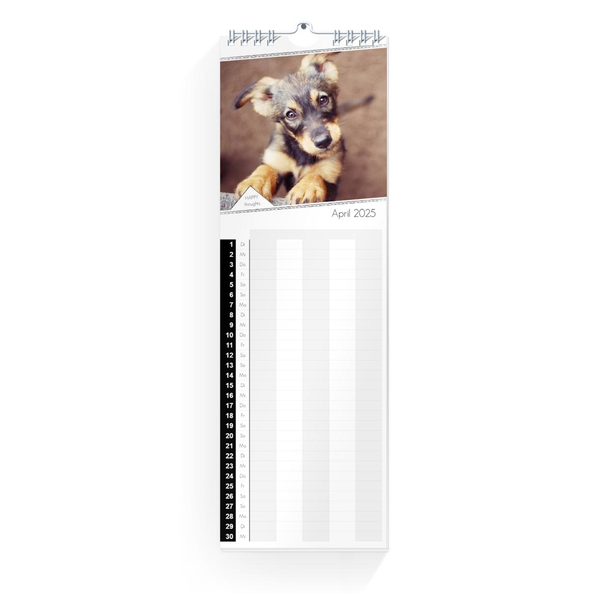 Product preview