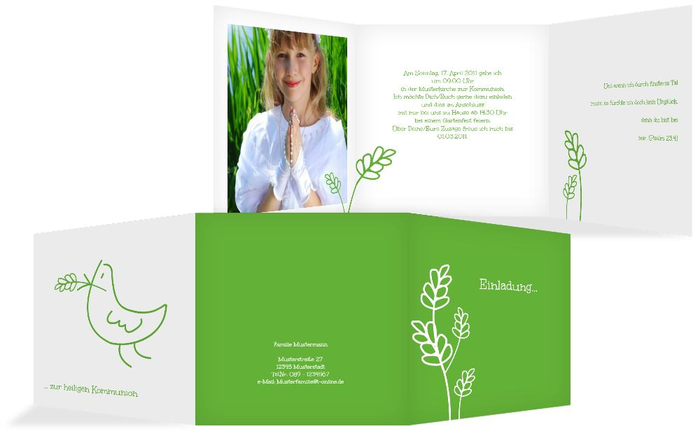 Product preview