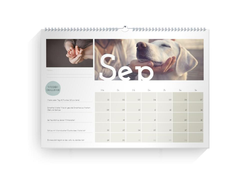 Product preview