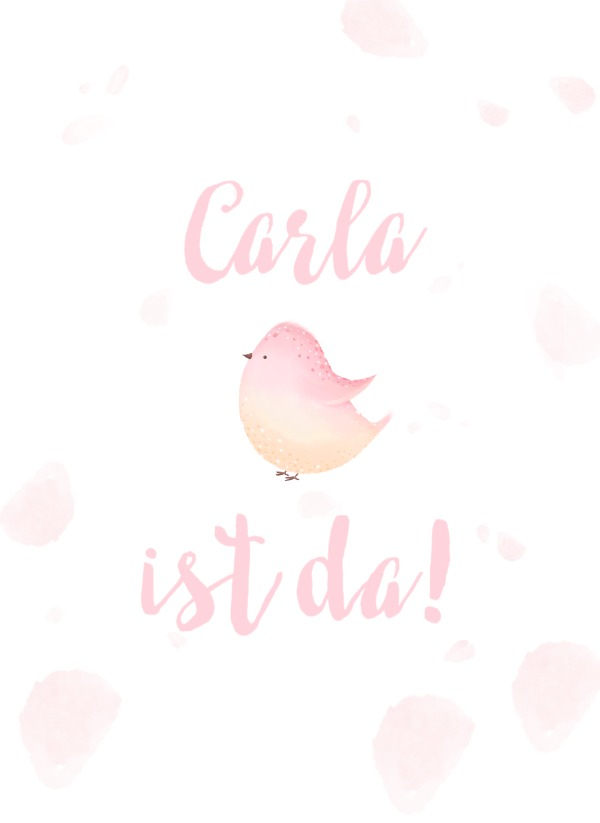 Fotomagnete zur Geburt Kleiner Vögel