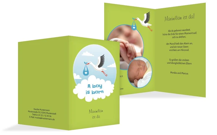 Karte zur Geburt Storch Junge