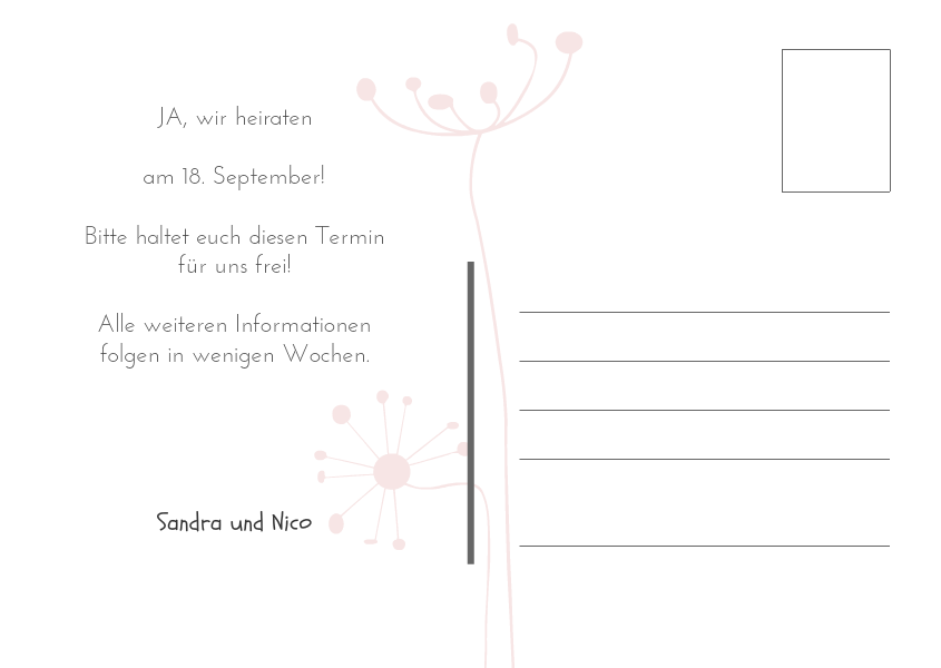Product preview
