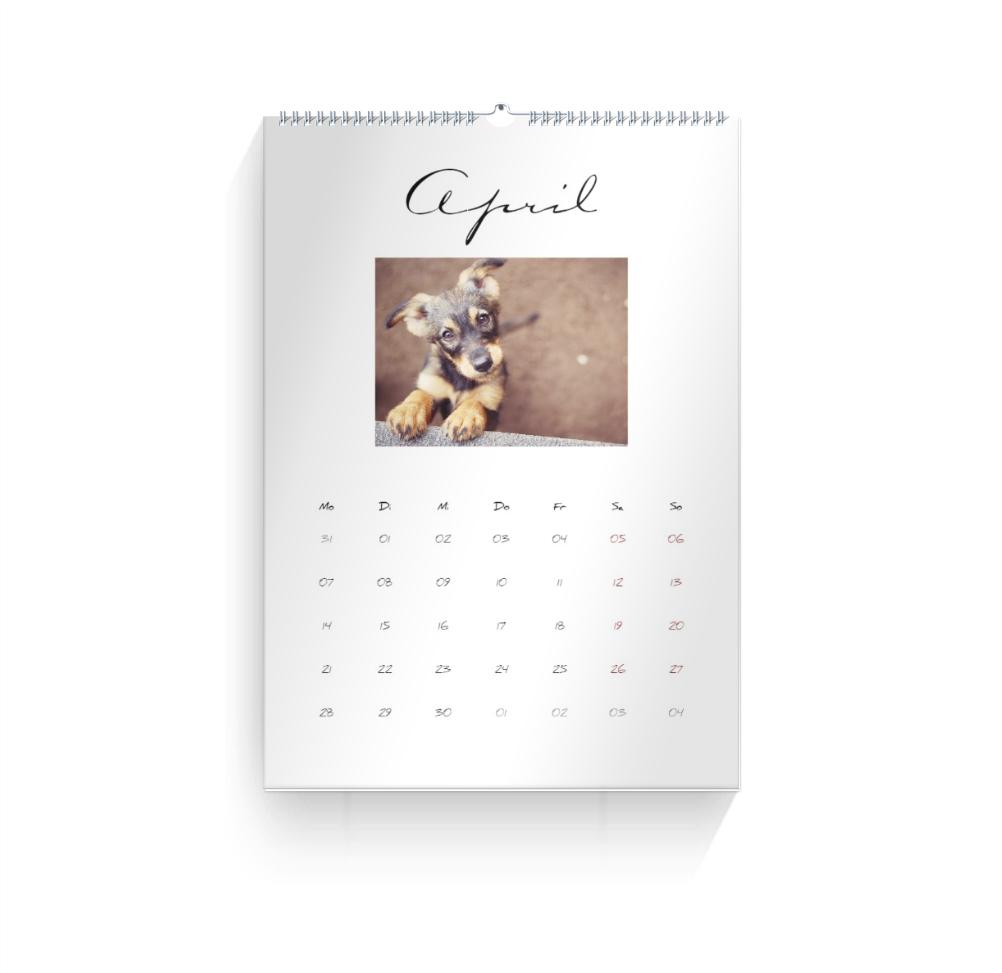 Product preview