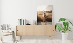 Motiv Hund auf Fotoboard gedruckt, ald Bild für Wanddekoration
