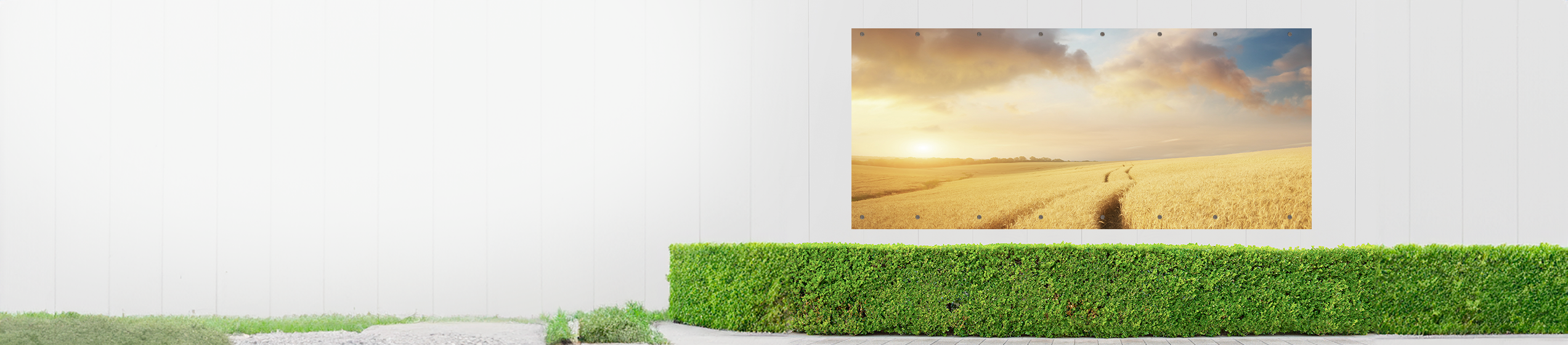 Slider background Slider background