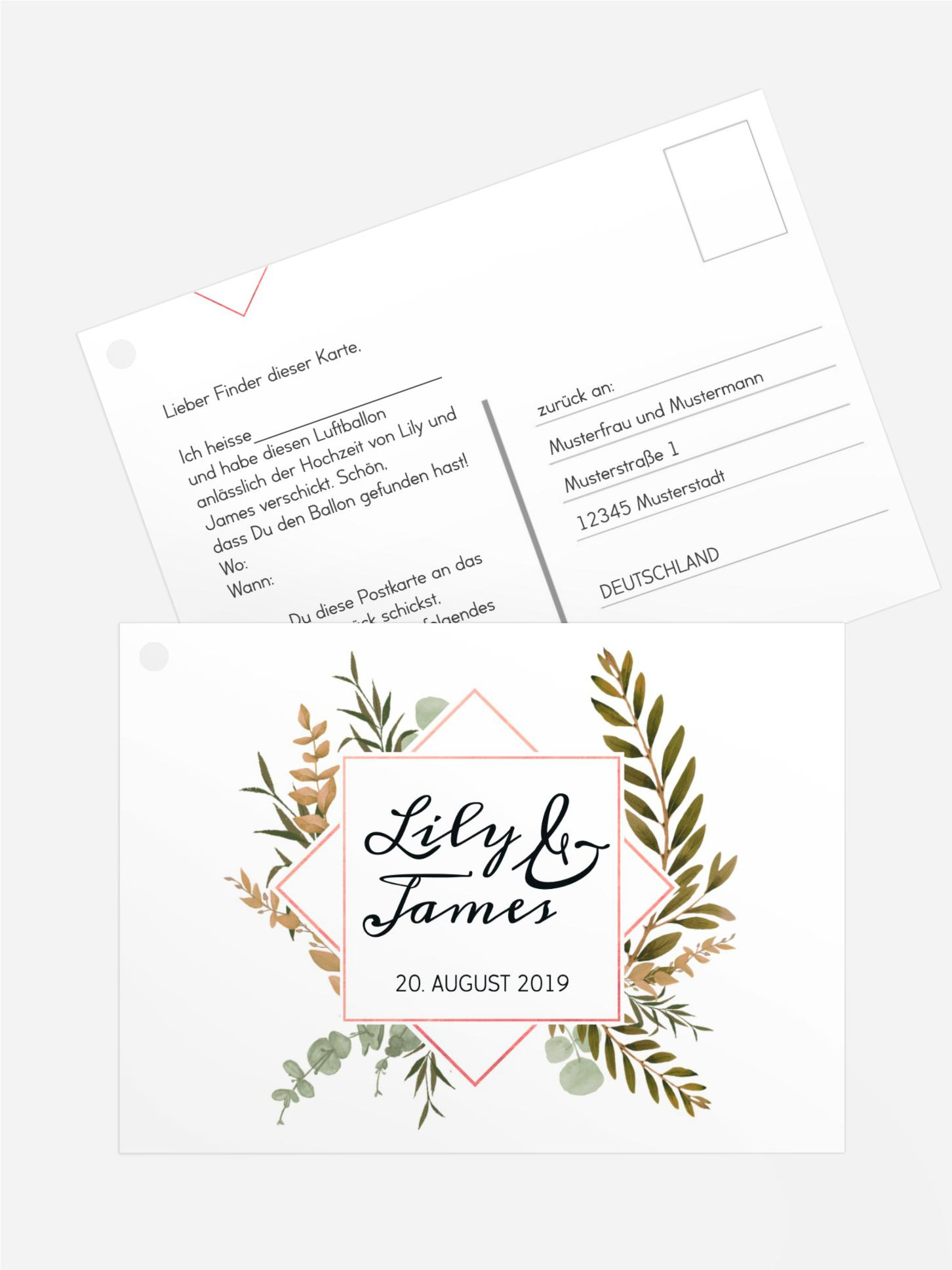 Ballonflugkarte Farn