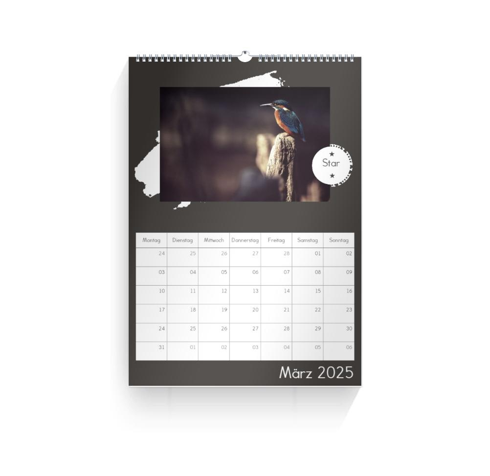 Product preview