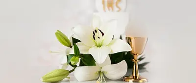 Category background image for Dankeskarten Kommunion