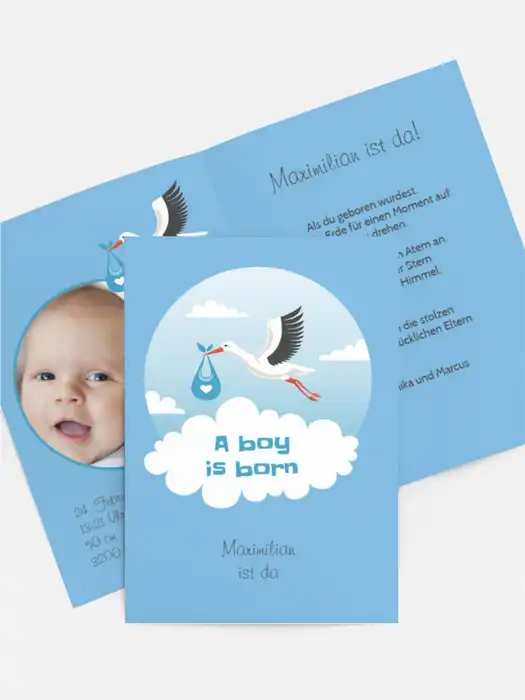 Storch Junge Storch Junge