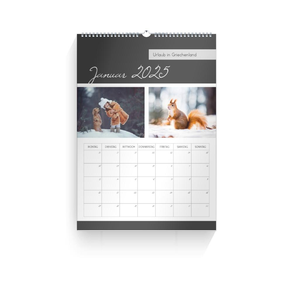 Product preview