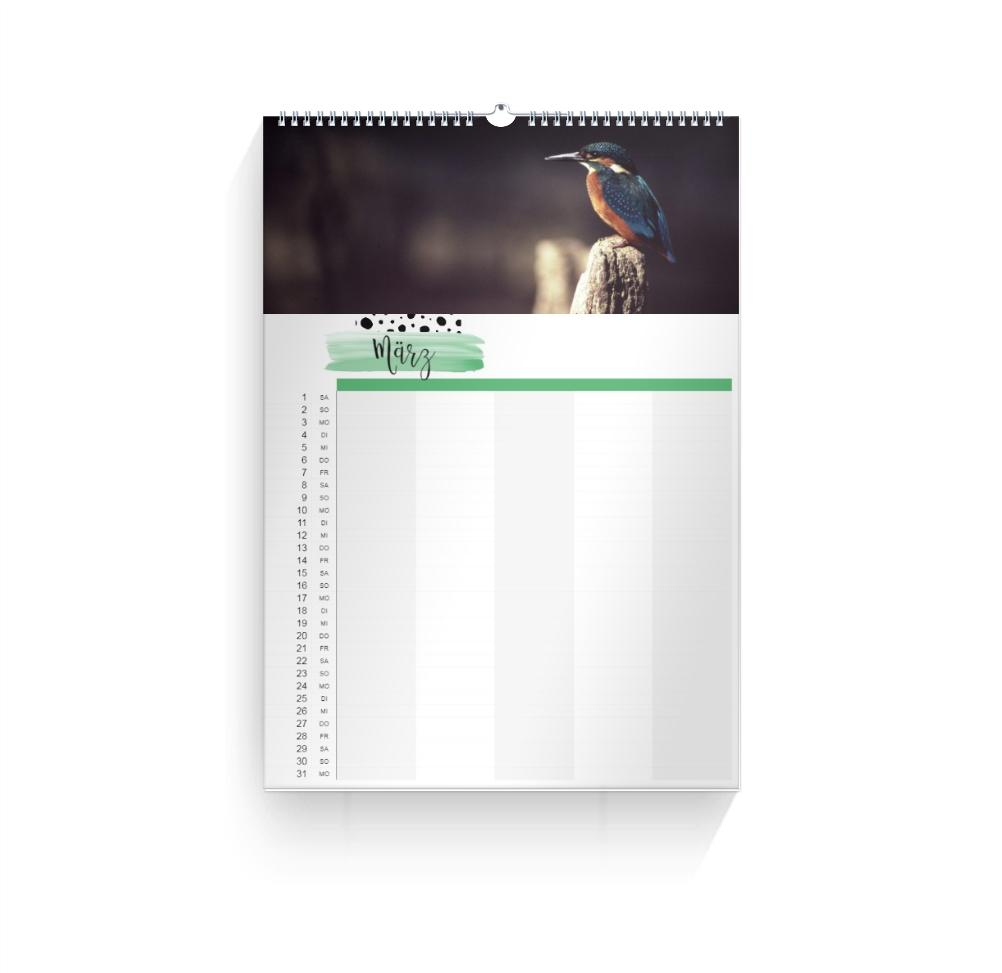 Product preview