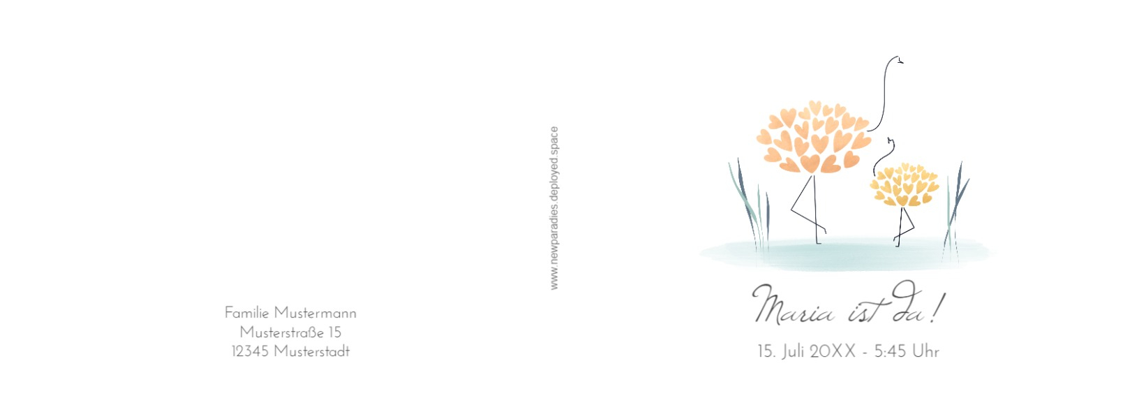 Product preview
