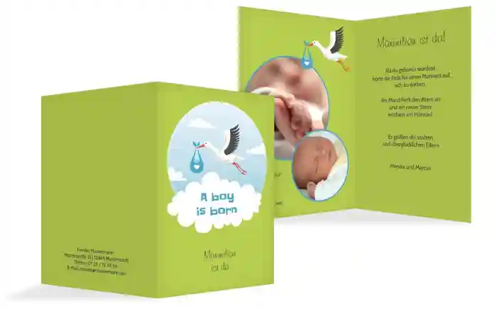 Karte zur Geburt Storch Junge