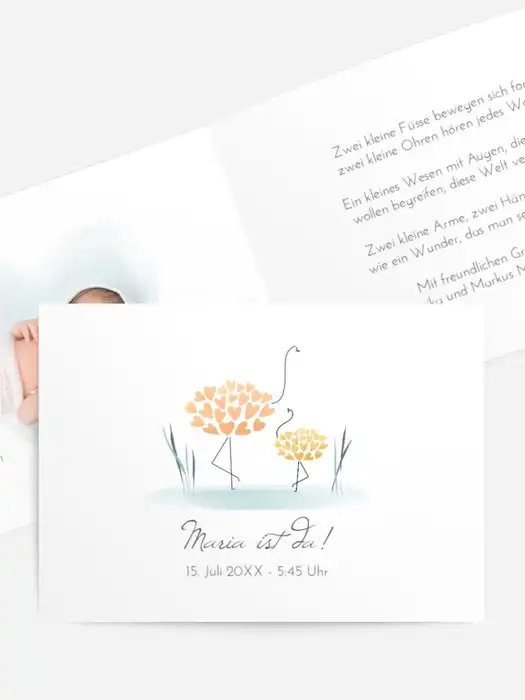 Flamingo Baby Flamingo Baby