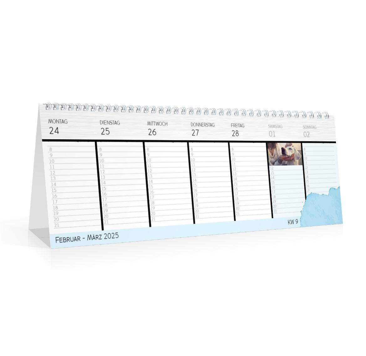 Product preview