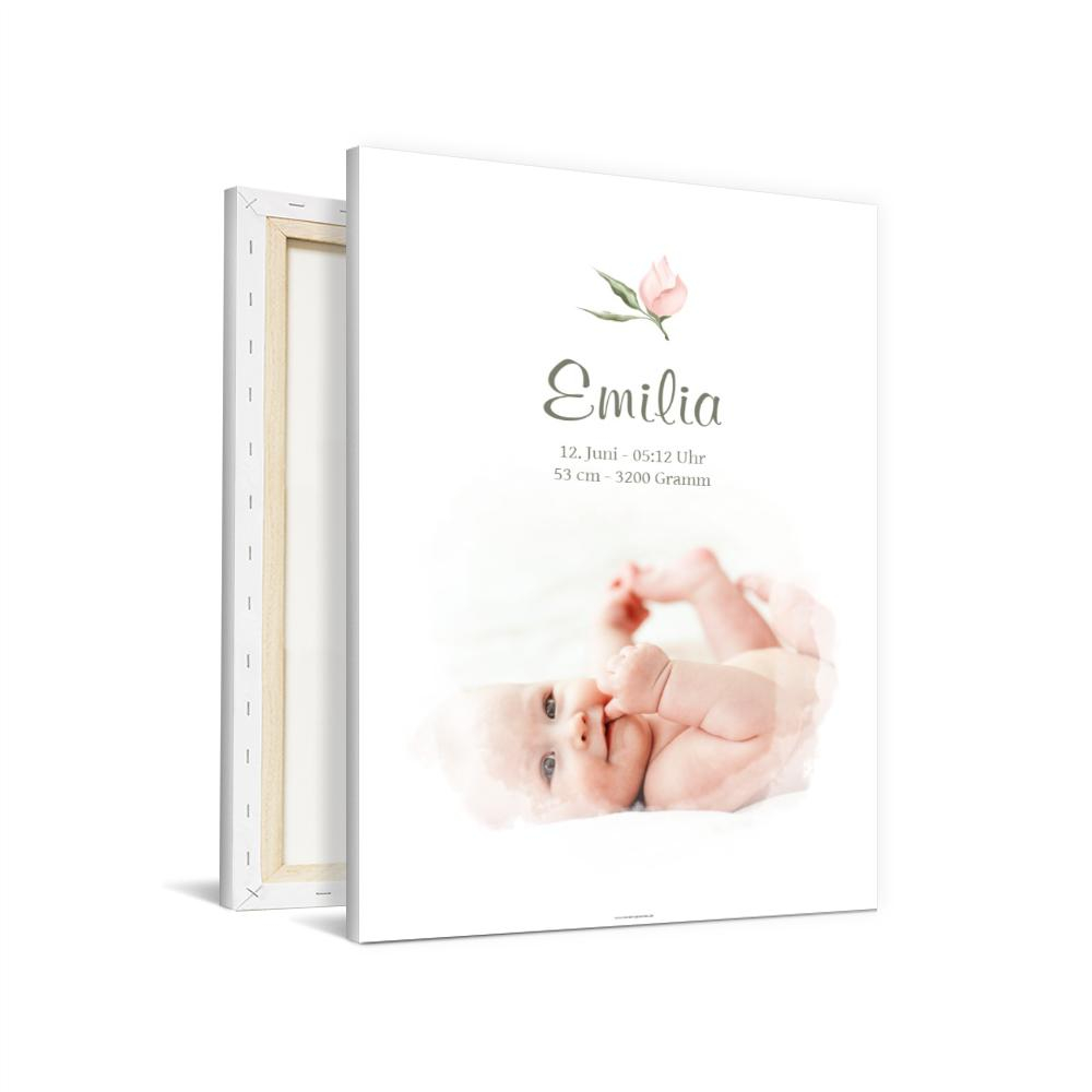 Wandbilder Baby Zarte Rose