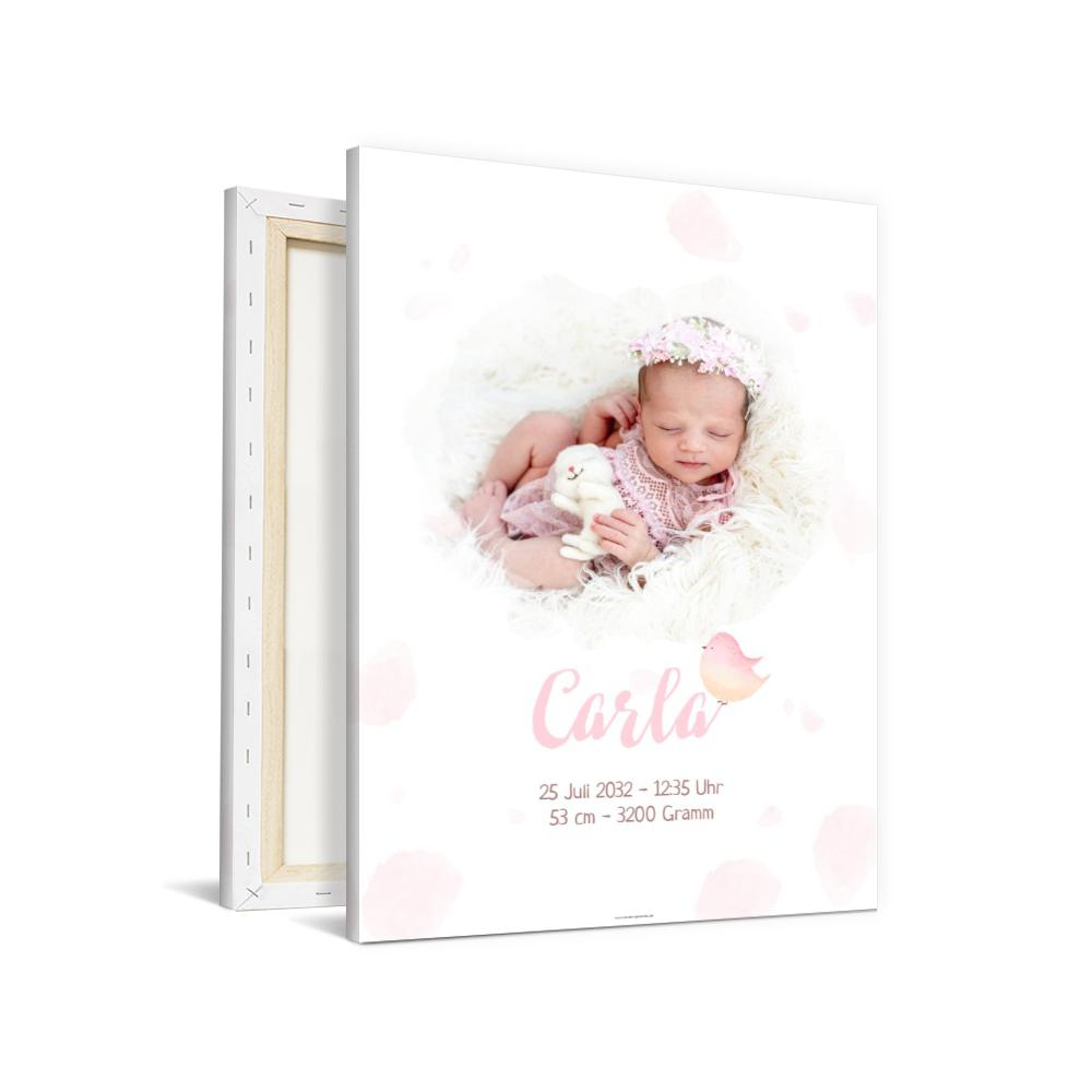 Wandbilder Baby Kleiner Vögel