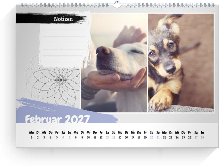 Product preview