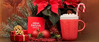 Category background image for Tischkarten Weihnachten