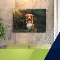 Category background image for Foto Alu Dibond