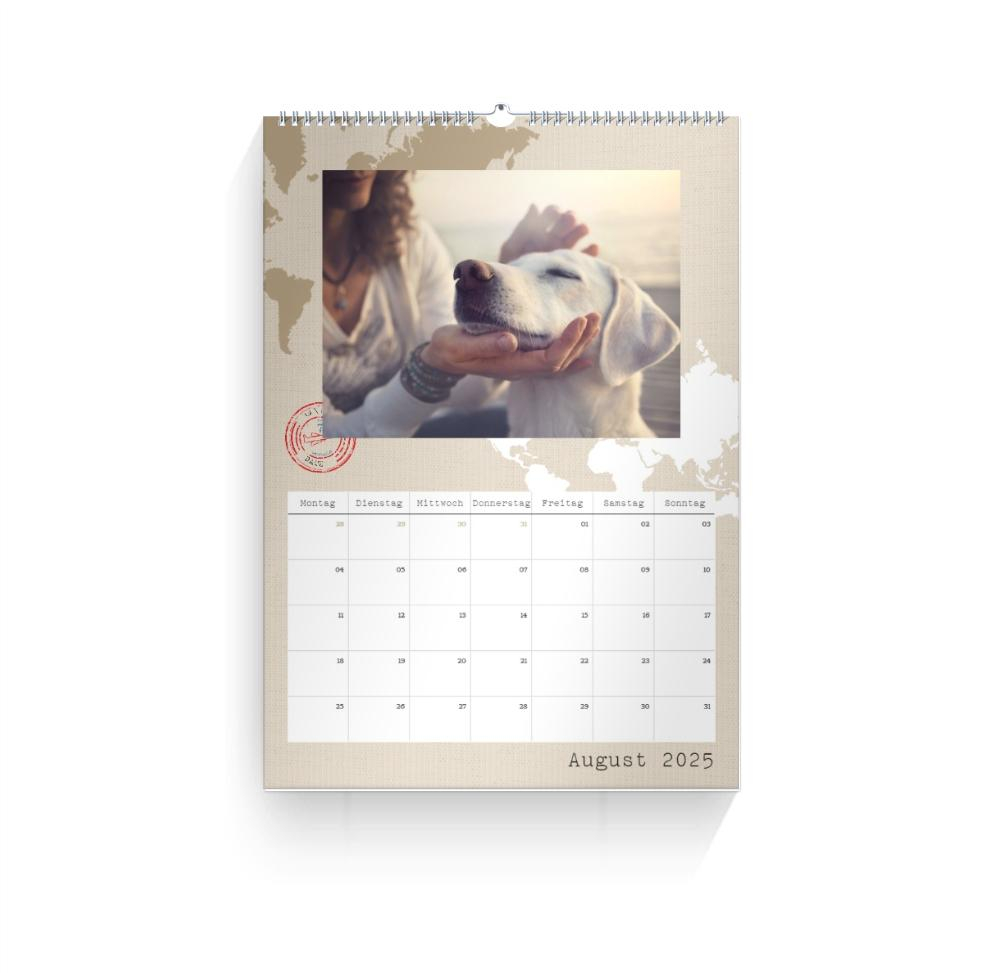 Product preview