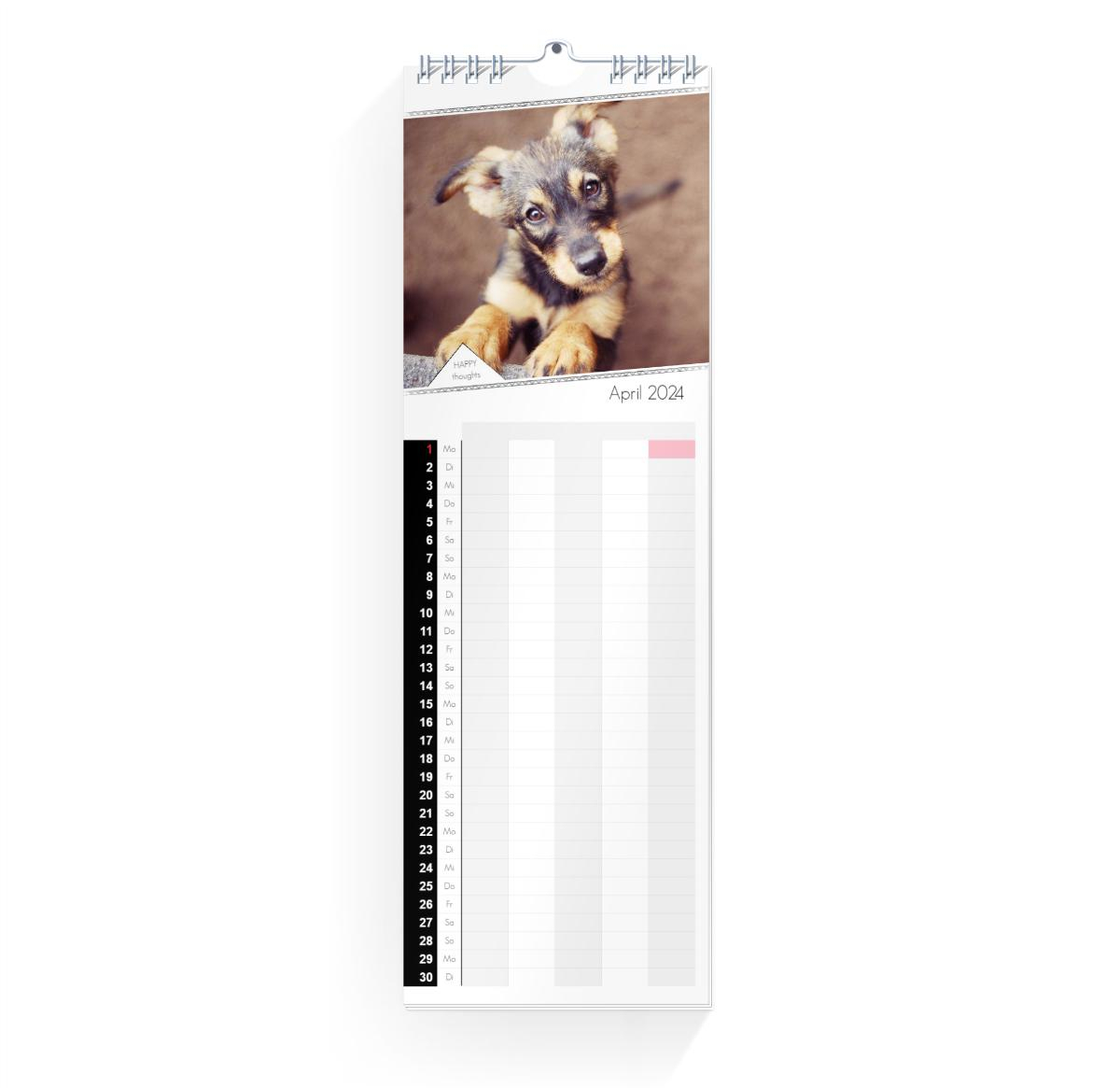 Product preview