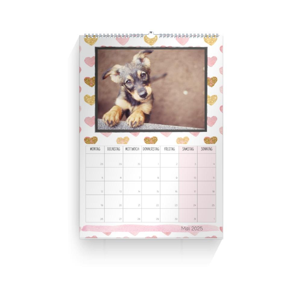 Product preview