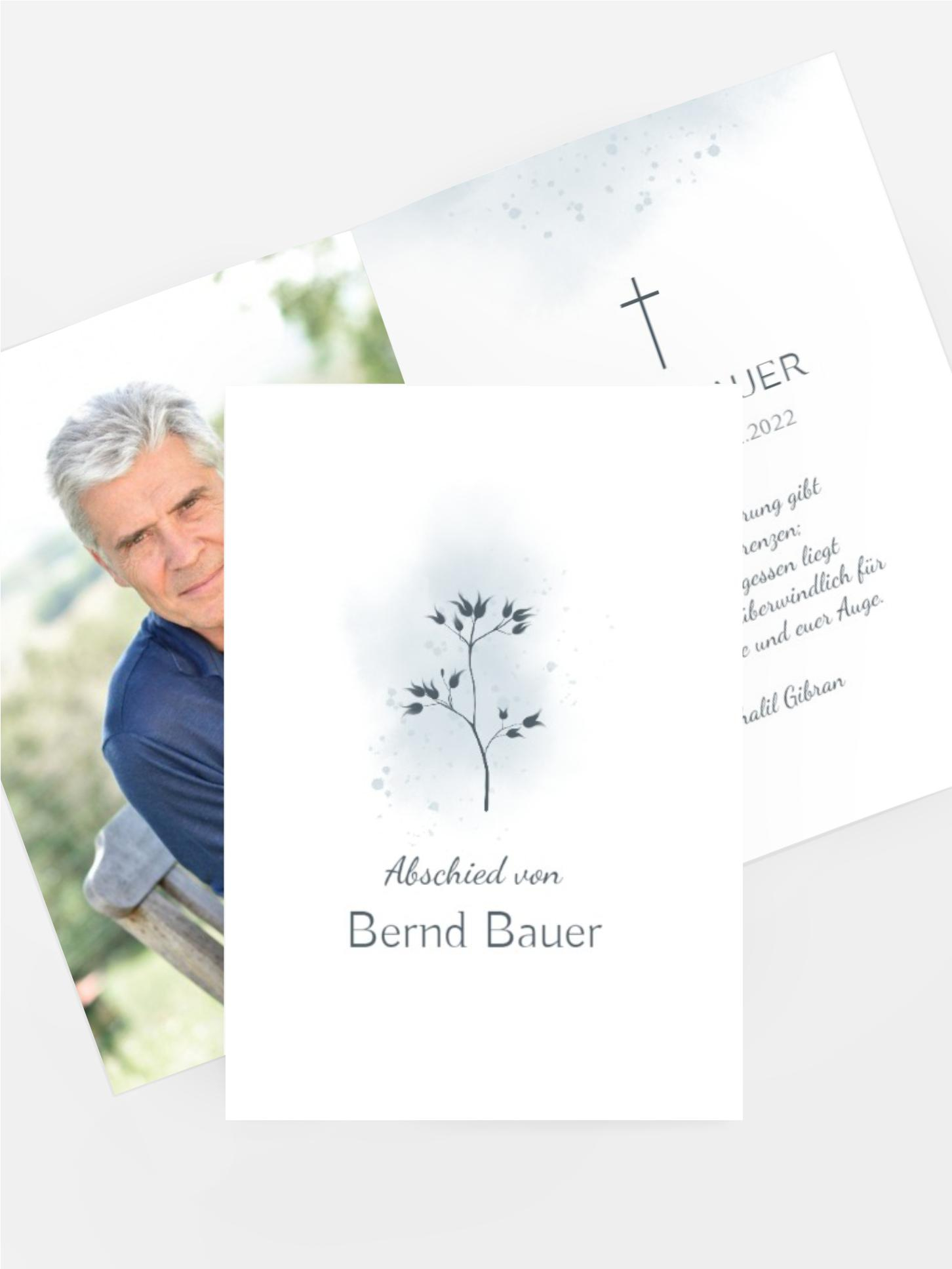 Sterbebilder Zweig im Nebel