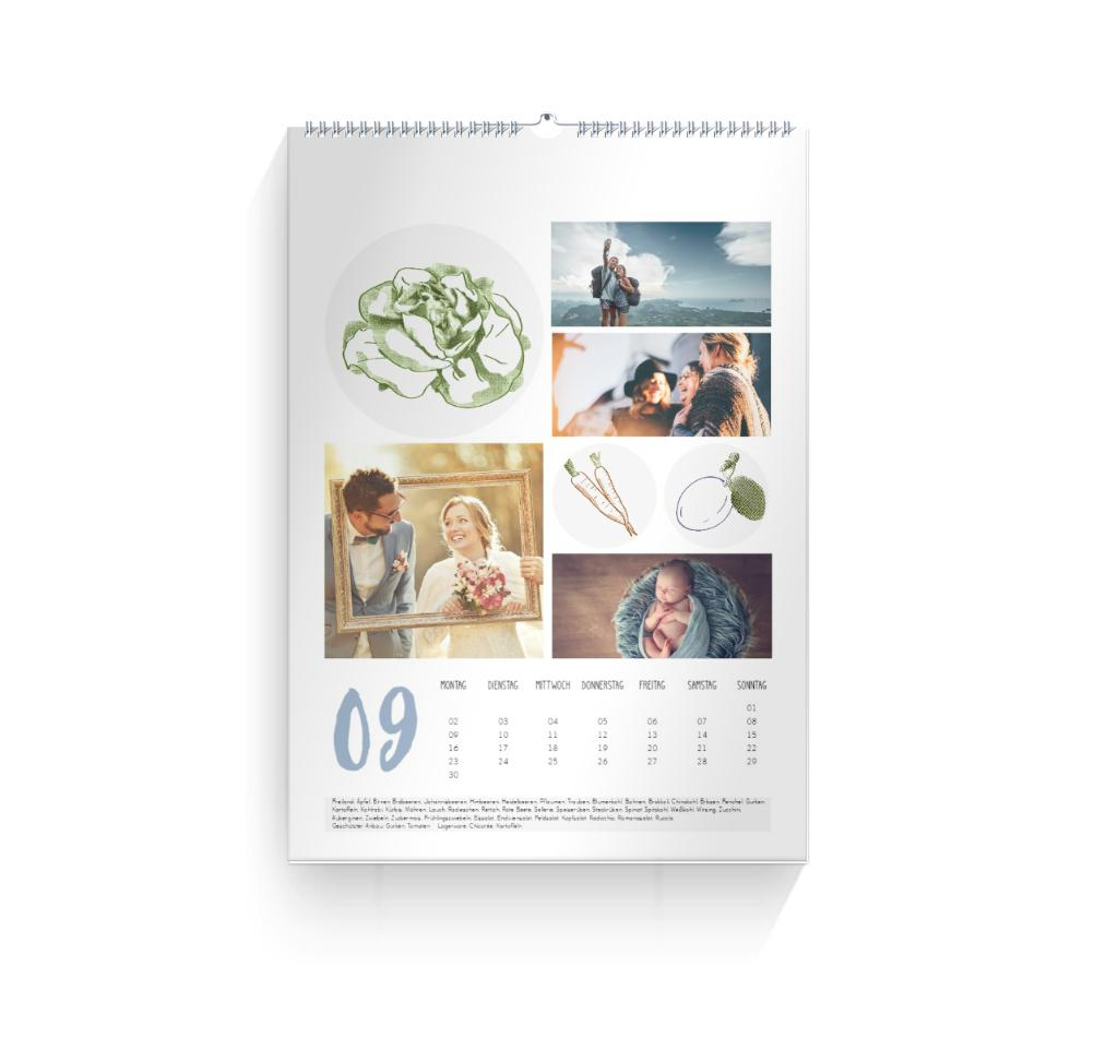 Product preview
