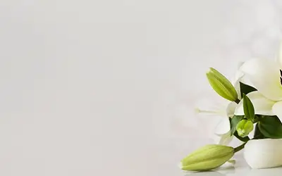 Slider background Slider background