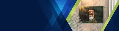 Slider background