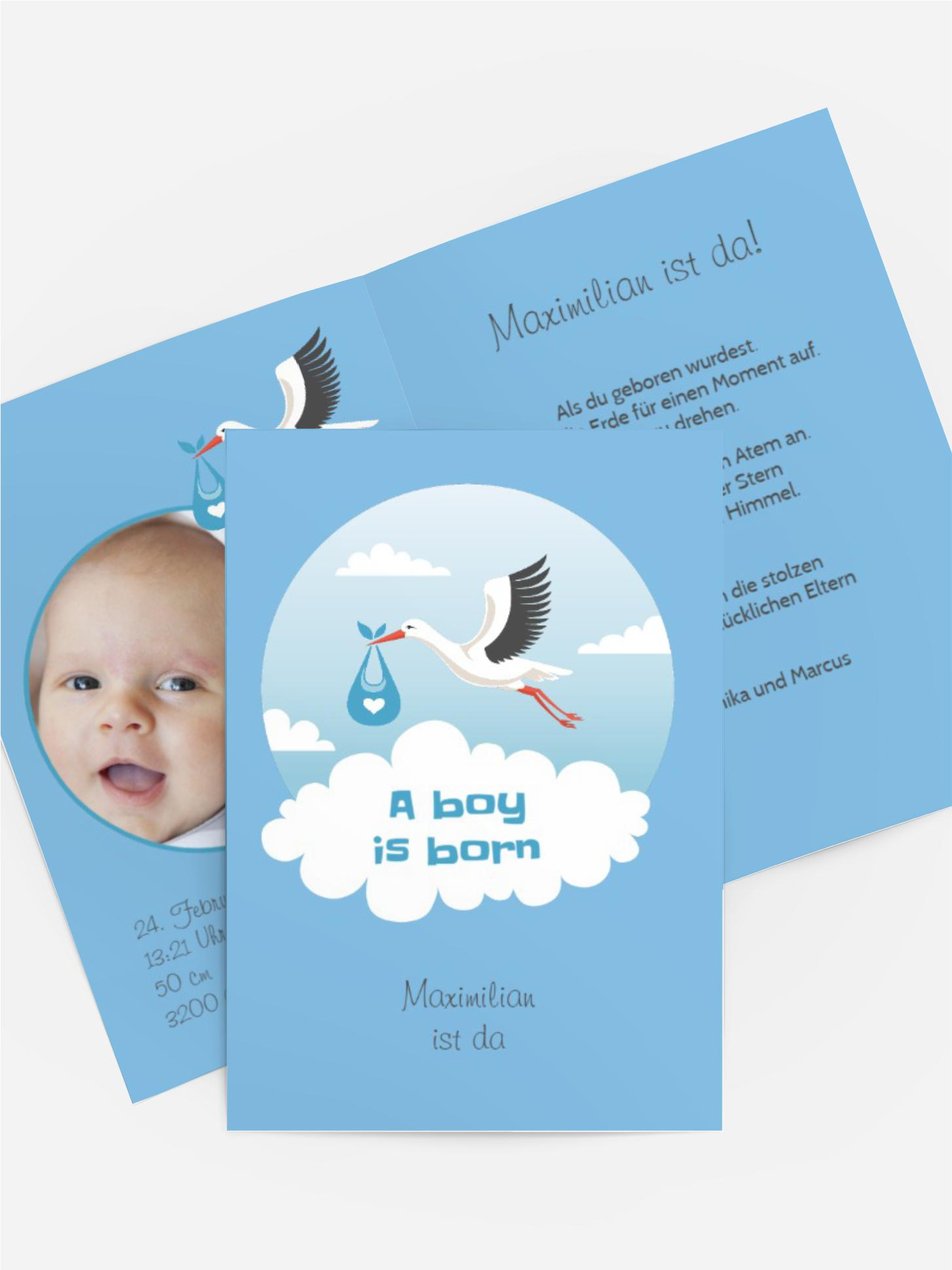 Storch Junge Storch Junge
