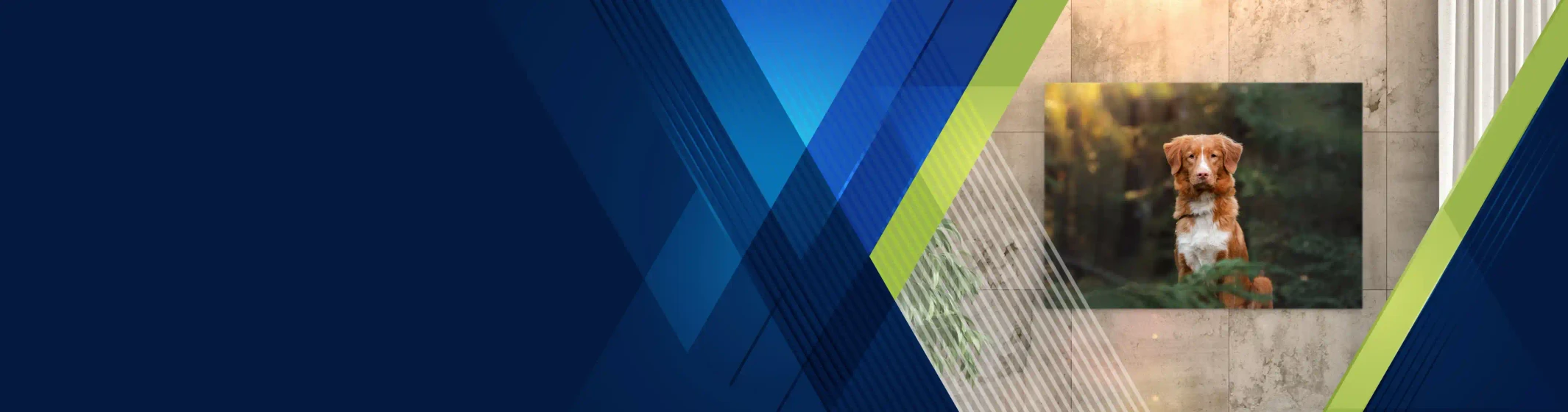 Slider background