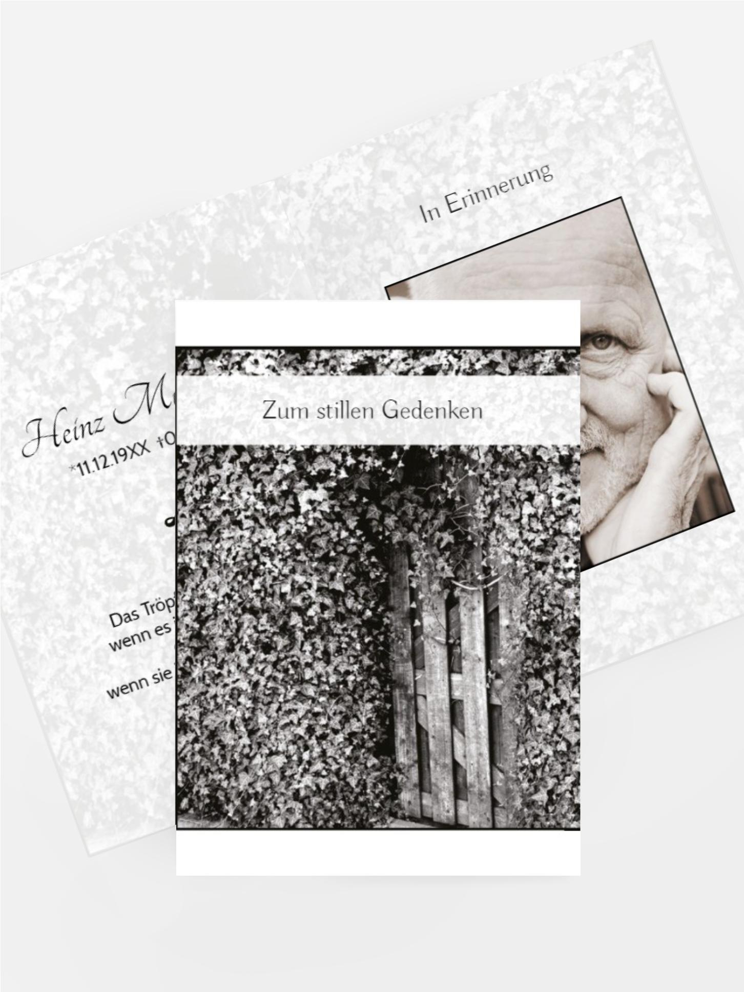 Sterbebildkarte Efeu