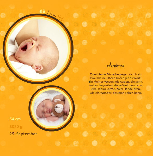 Product preview