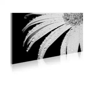 Alu Dibond Full Screen Alu Dibond Full Screen