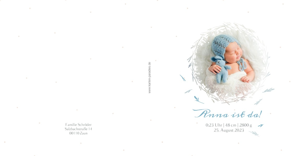 Product preview