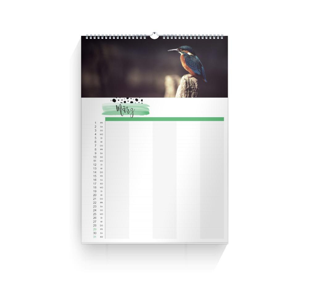 Product preview
