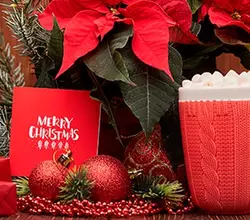 Category background image for Tischkarten Weihnachten