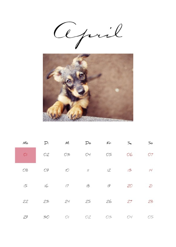 Product preview