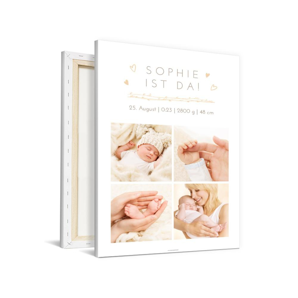 Wandbilder Baby Rankenstrang