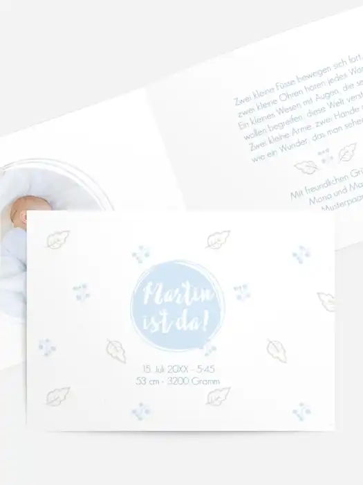 Wildblumenwiese Wildblumenwiese