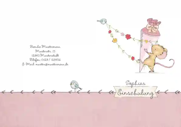 Product preview