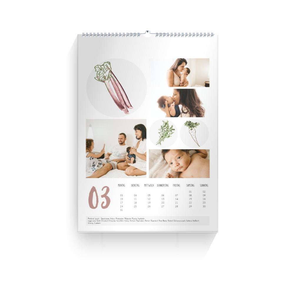 Product preview