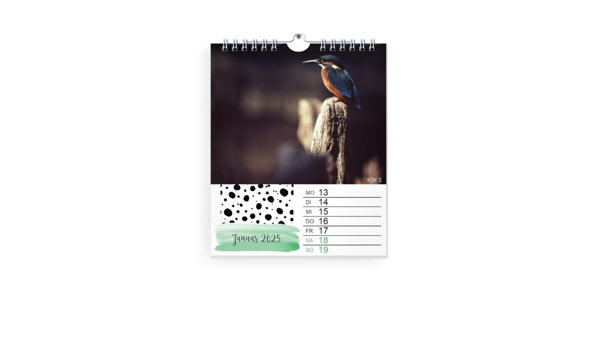 Product preview